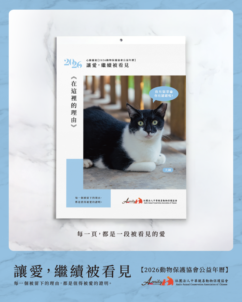 2026《在這裡的理由》公益年曆，12/13 正式開放預購