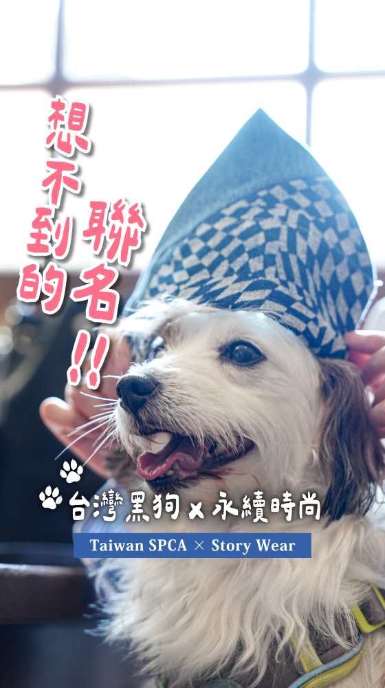 楊楊 Story Wear  「國犬故事」