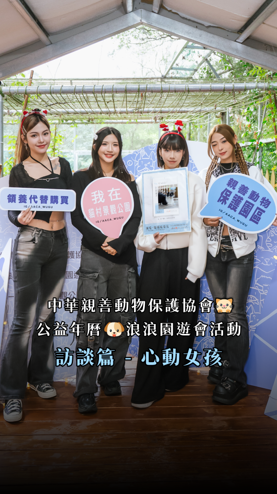 林口貓村公益活動 - 心動家族趣味互動篇《心動女孩SVETA》