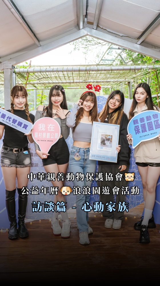 林口貓村公益活動 - 心動家族趣味互動篇《心動女孩》